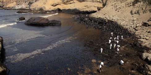 La guerra y el alza del petróleo lastran a las grandes bolsas mundiales