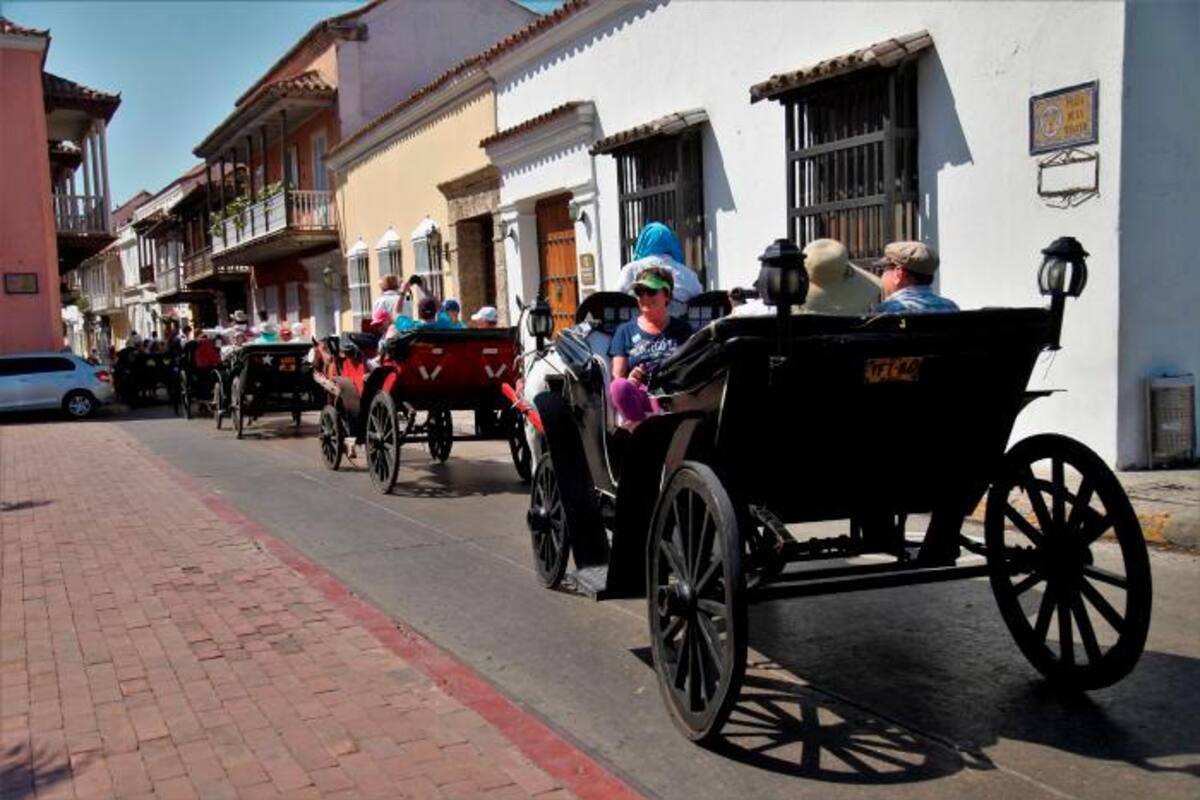 Nuevo desplome de caballo enciende polémica sobre coches turísticos