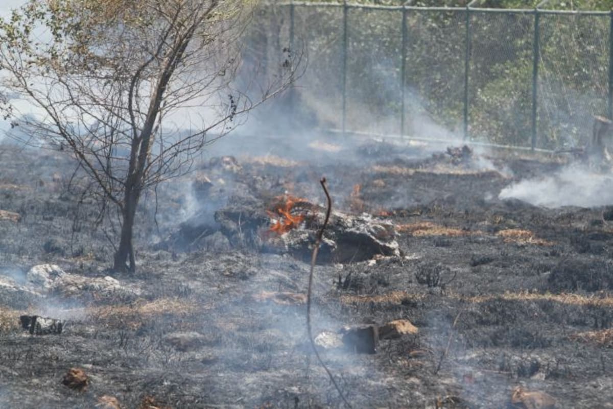 Hasta el momento no se conoce la causa del incendio. JULIO CASTAÑO - EL UNIVERSAL