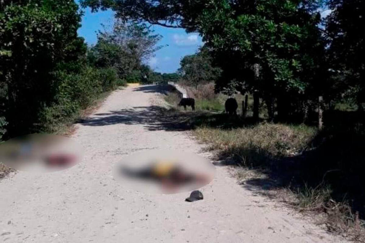 Procuraduría solicita a gobernador de Arauca garantizar seguridad