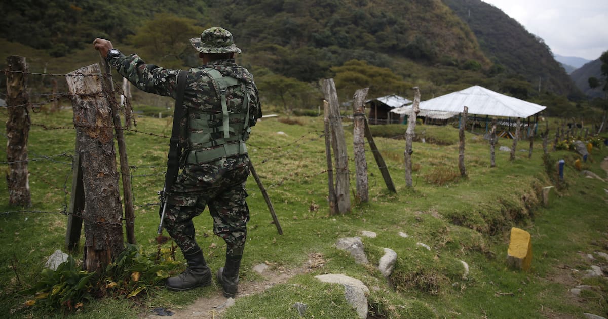 Violencia armada en el Catatumbo deja 250 campesinos desplazados