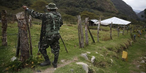 Violencia armada en el Catatumbo deja 250 campesinos desplazados