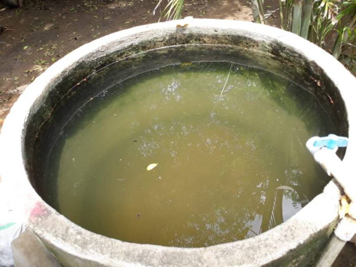 Los habitantes de Hatoviejo deben caminar unos dos kilómetros para abastecerse de agua en la ciénaga de El Hobo. Lila Leyva Villarreal