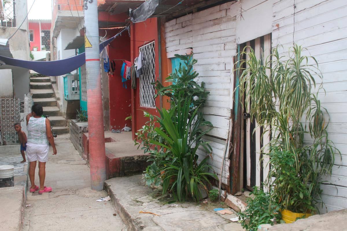 En el barrio 2 de Noviembre están atestados de ratas