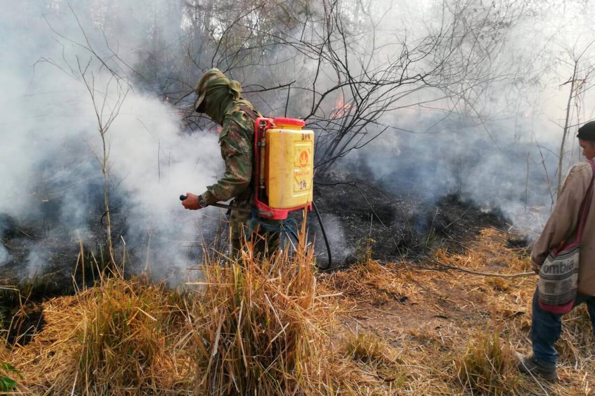 Controlan incendios forestales en el sur de Bolívar