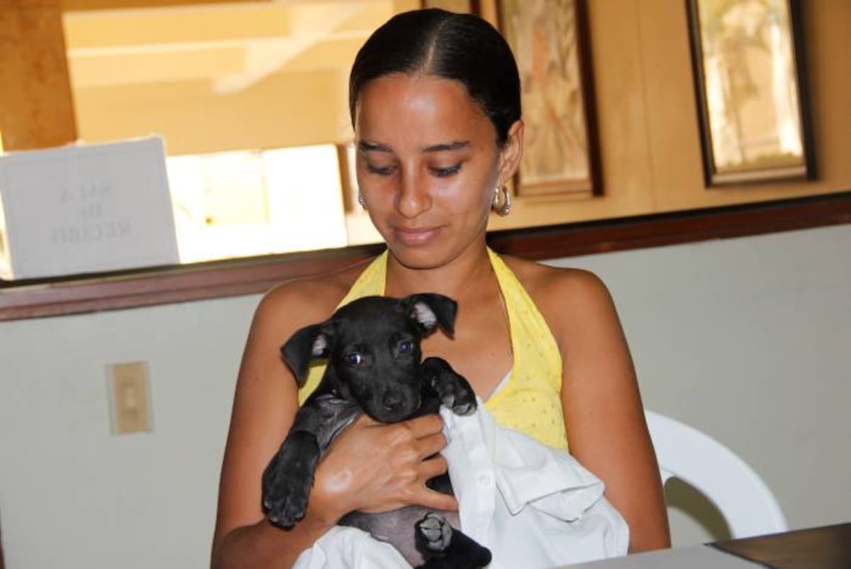 Katherine, dueña de Luna, mantiene la esperanza de que su perrita camine como antes. LUIS PRADO - ELUNIVERSAL.COM.CO