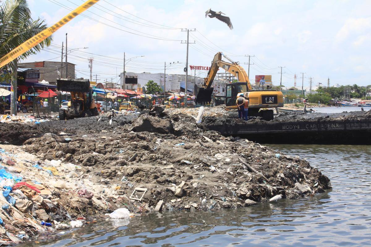 Hasta ahora se ha alcanzado el 11% del objetivo. Aspiran a retirar 76 mil metros cúbicos de material residual.