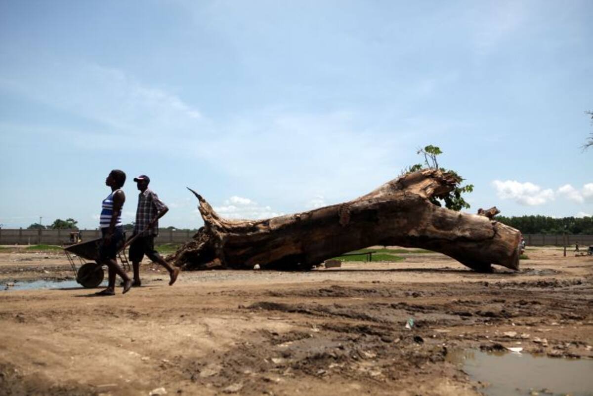 El programa se llama “Frontera verde” y se hace en conjunto con el gobierno de República Dominicana. AFP ERIKA SANTELICES