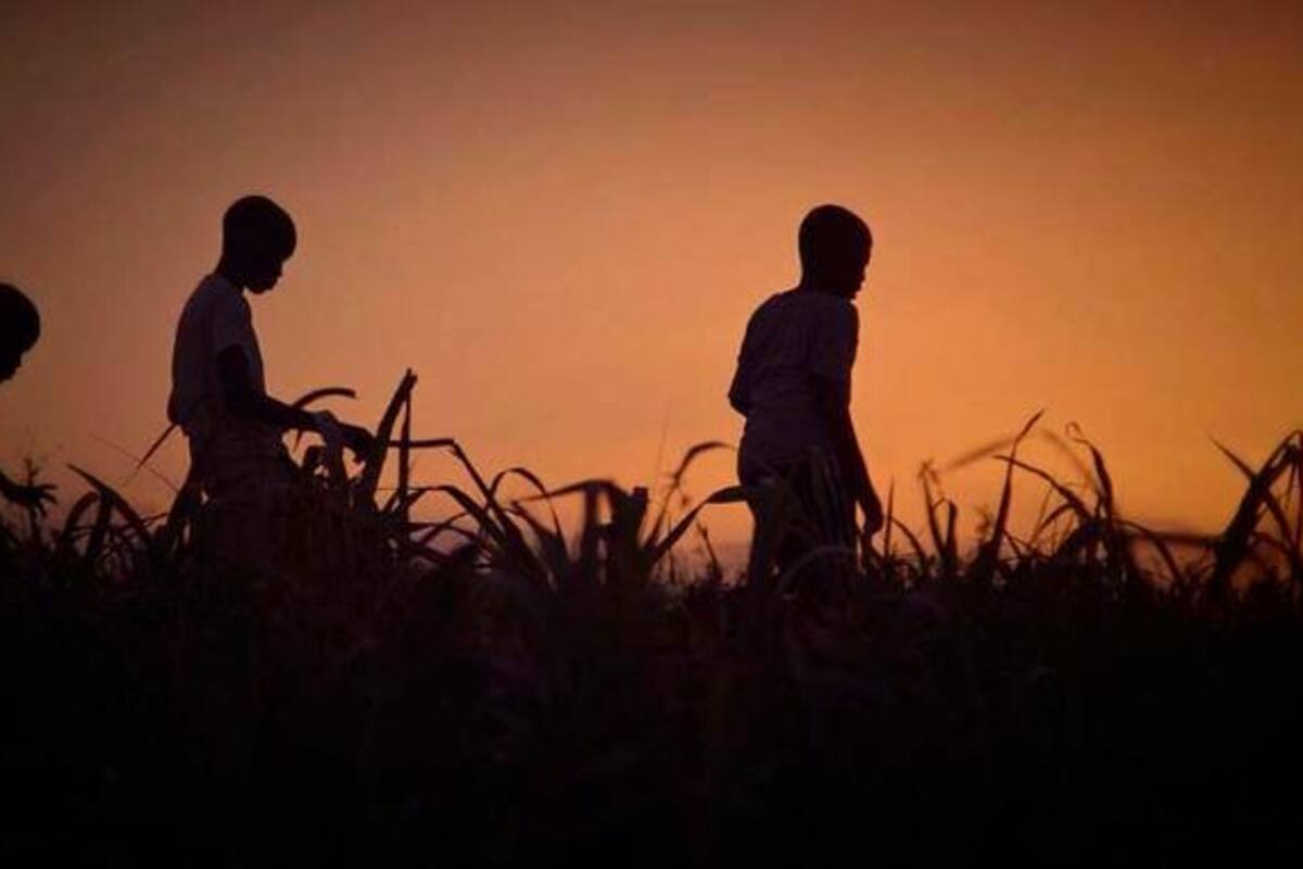Miércoles de cine: se proyectará el documental Apatría en el Cfce