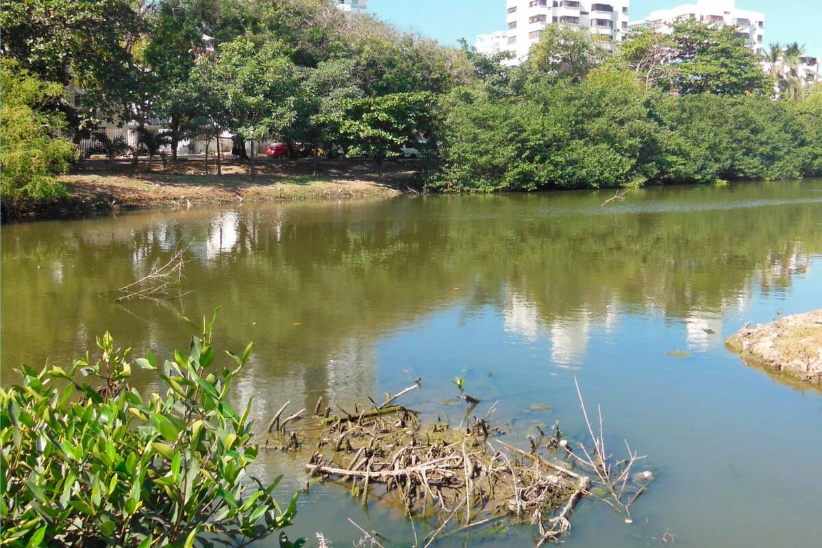 Edurbe está listo para arrancar limpieza en el caño Bazurto