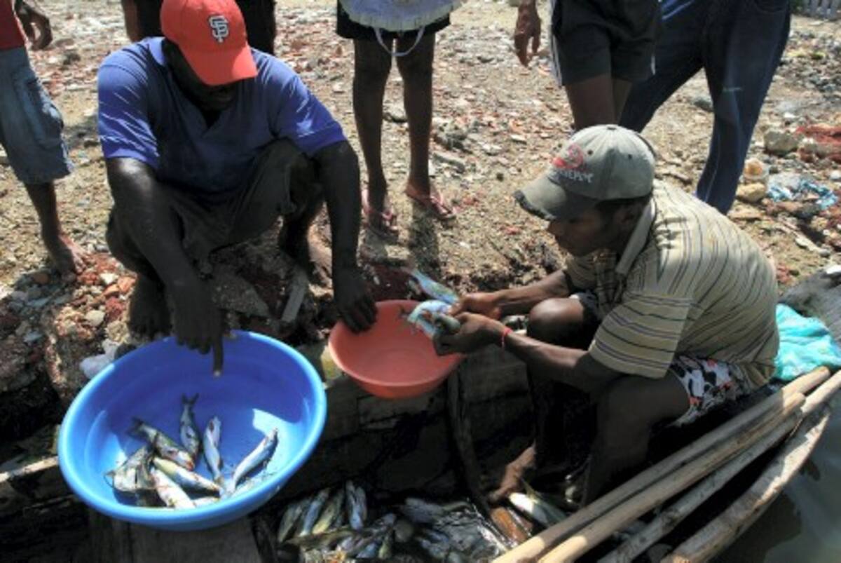 En el recorrido por la Ciénaga, (2:15 p.m.), encontramos a José Torres (de gorra), quien llegaba de la faena de pesca que inició a las 5:30 a.m., con tres pescadores más. Sólo tenían 150 pescados de no más de 20 cms. En dinero, dijo que eran como $12.000 para repartirlos. ¿Qué ganamos? Nada, rinde más comérnoslos y toca con arroz solo, porque ¿de dónde vamos a sacar más plata para el completo?