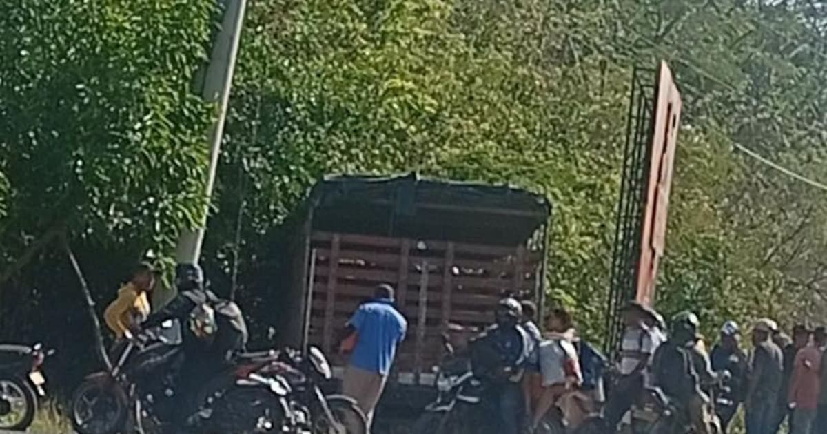 Camión cargado de cerdos perdió el control y arrolló a padre e hijo en la Vía del Mar