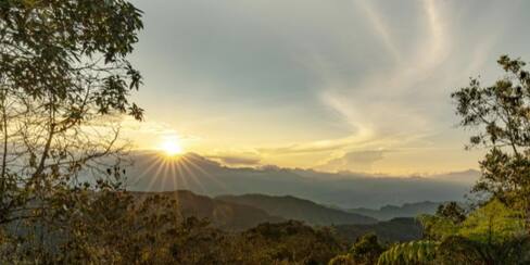 Colombia celebra hoy el Día Cívico de la Paz con la Naturaleza: ¿de qué trata?