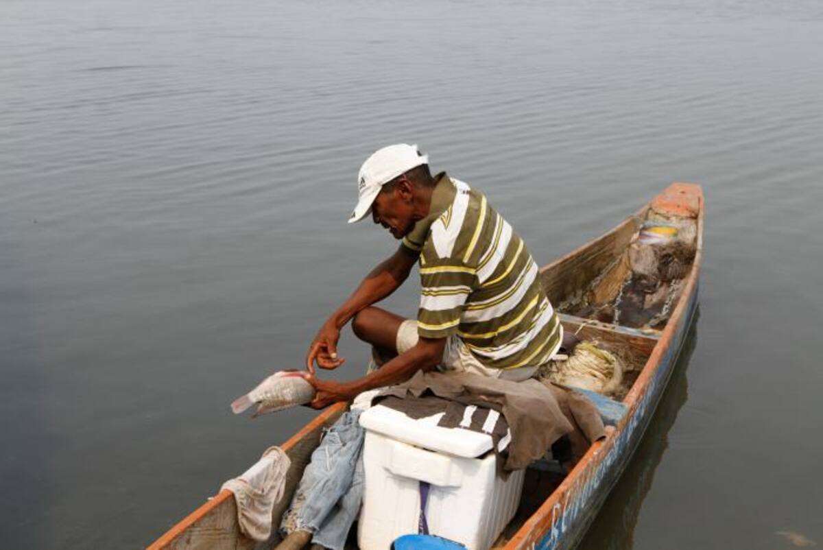 Los pescadores piden que se hagan las investigaciones pues las muertes les preocupa, y más ahora en la llegada de Semana Santa. Julio Castaño/ El Universal
