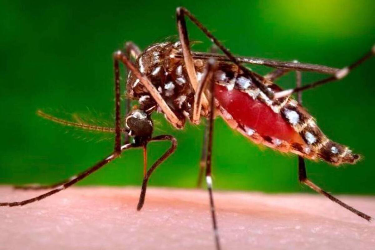 Por aumento de lluvias, Barranquilla toma medidas preventivas contra el dengue
