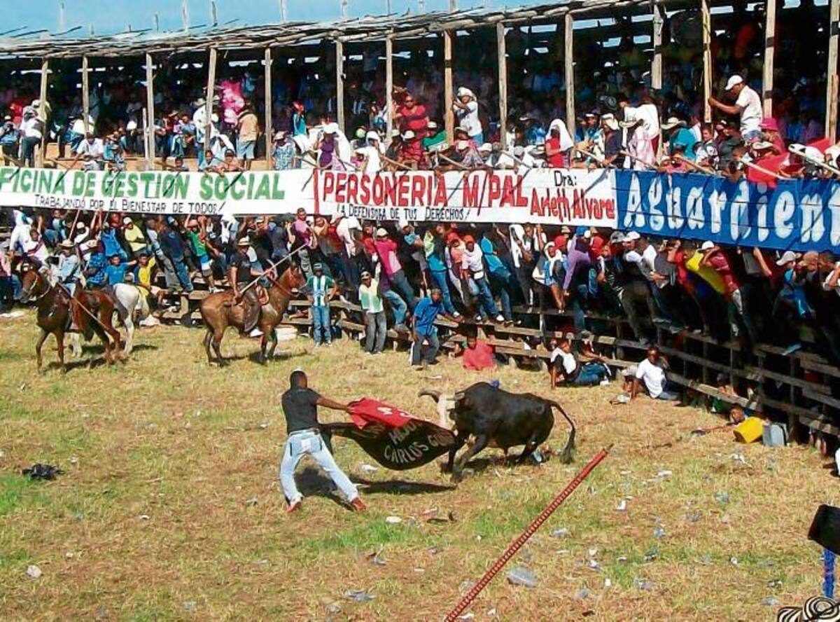 Los muleteros y capoteros estuvieron presentes con sus hazañosas faenas.