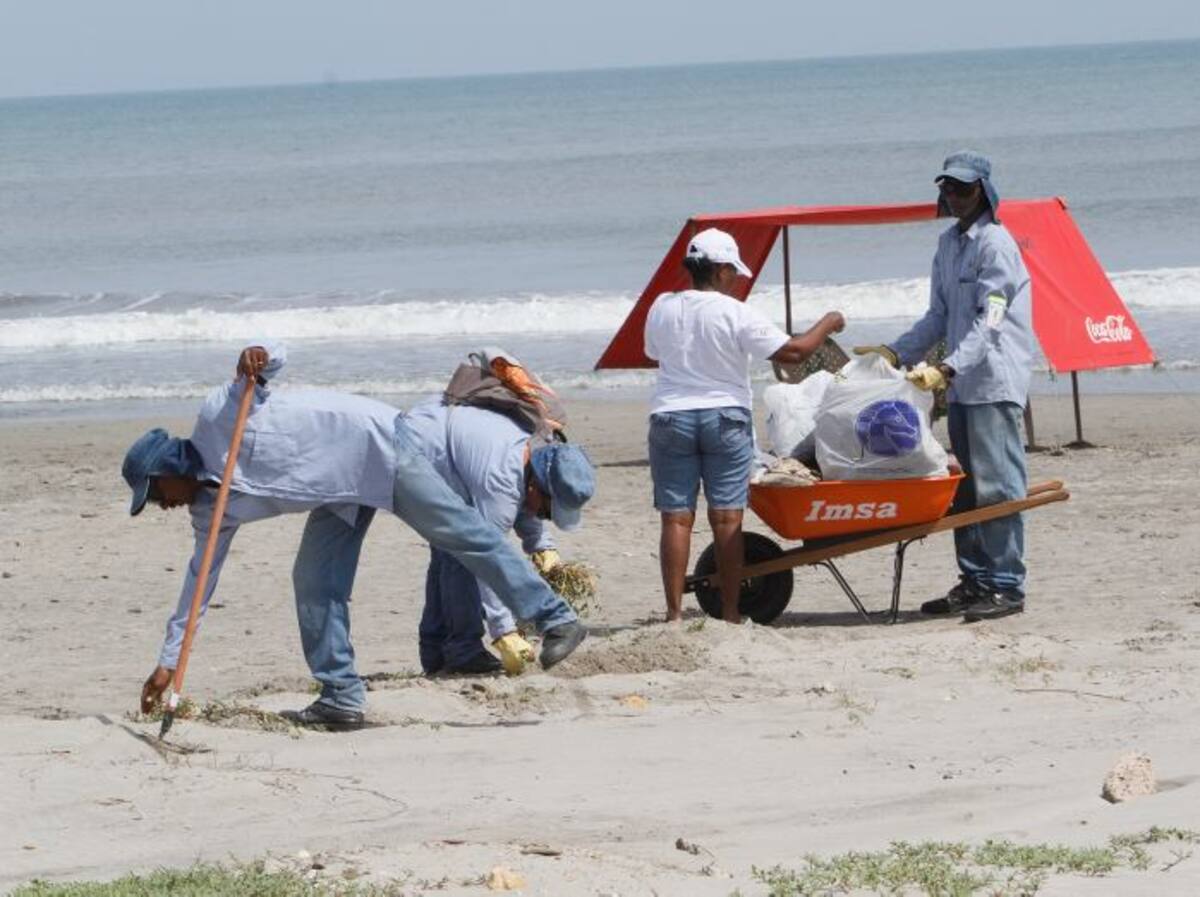 Desde las 9 de la mañana hasta las 12 del mediodía, carperos, aseadores de Pacaribe y empleados del consorcio Vía al Mar estuvieron limpiando la playa en Marbella. Julio Castaño