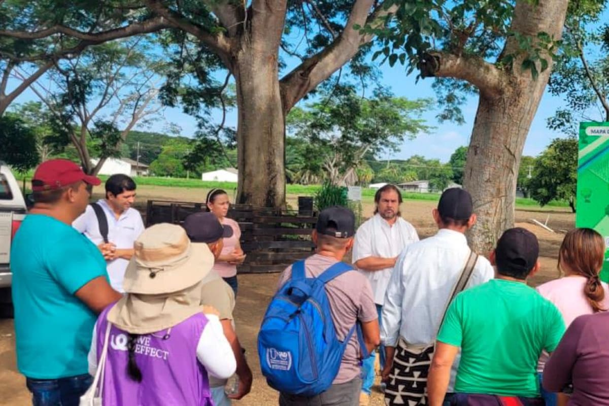 Firmantes de paz del Caribe fortalecen capacidades productivas en Montería