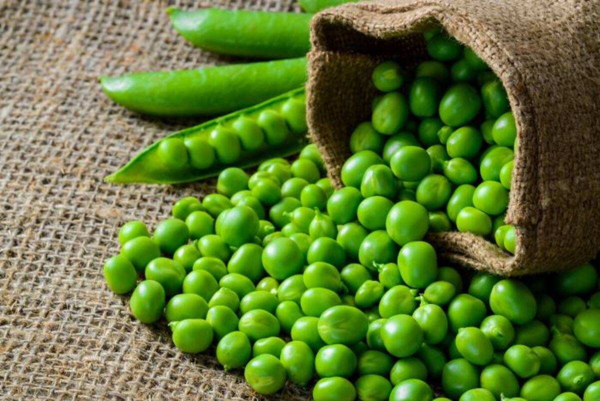 En “Hoy…; Legumbres” se proponen alternativas a ciertos ingredientes a fin de incorporar este macroalimento en platillos provenientes de los distintos recetarios latinoamericanos. 123RF