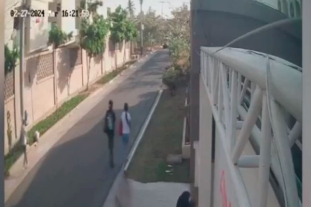 (Video) Así pintaron, con grafiti, el portón de los Vega Daza en Villa Campestre