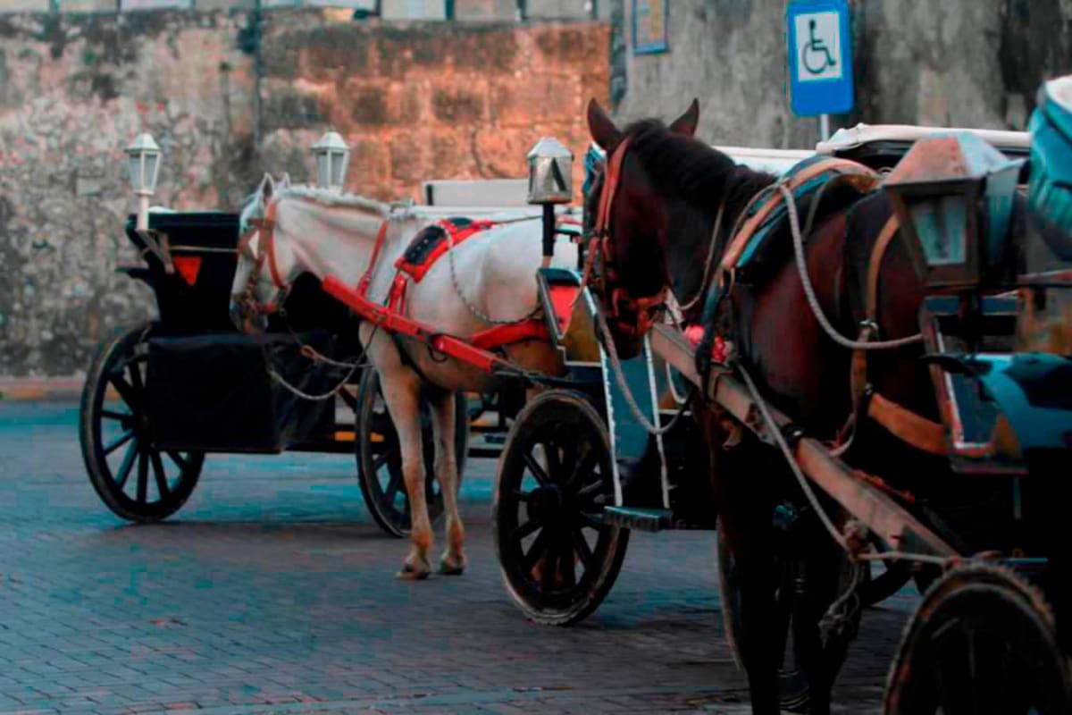 Cocheros denuncian presencia de “aceite” en calles del Centro Histórico