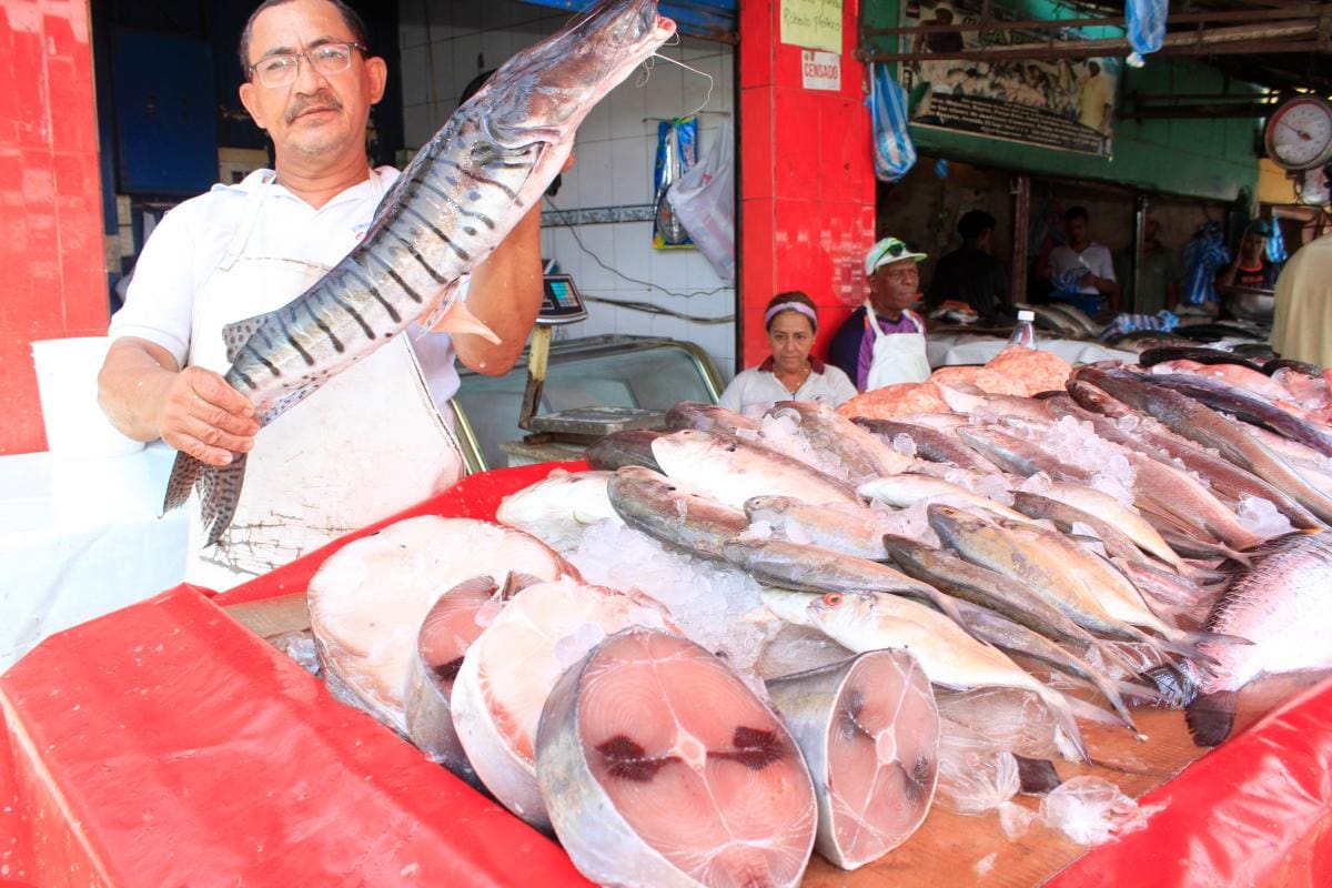 El bagre es una de las especies más apetecidas en la temporada de Semana Santa. En el mercado de Bazurto se presenta un buen abastecimiento. // FOTOS JULIO CASTAÑO BELTRAN - EL UNIVERSAL
