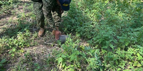 Operativo de la Armada rescata 140 especies de fauna en el Caribe