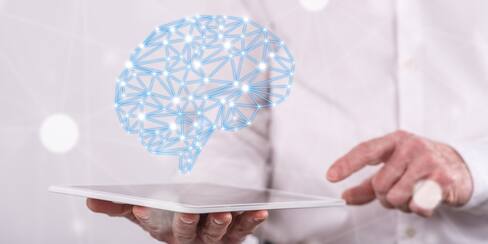 El sexo y el género se asocian con distintos patrones de redes cerebrales