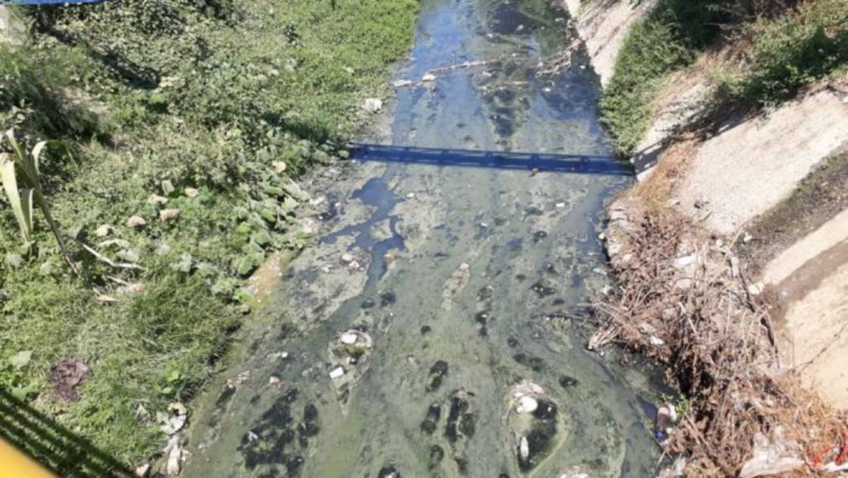 Estado del arroyo El Cañito, en El Carmen de Bolívar. Lila Leyva Villareal