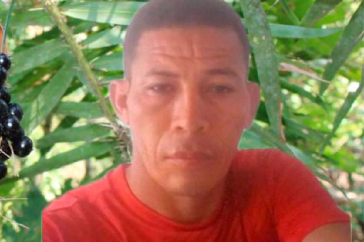 Cortaba una palma de corozo, pisó un cable y se electrocutó