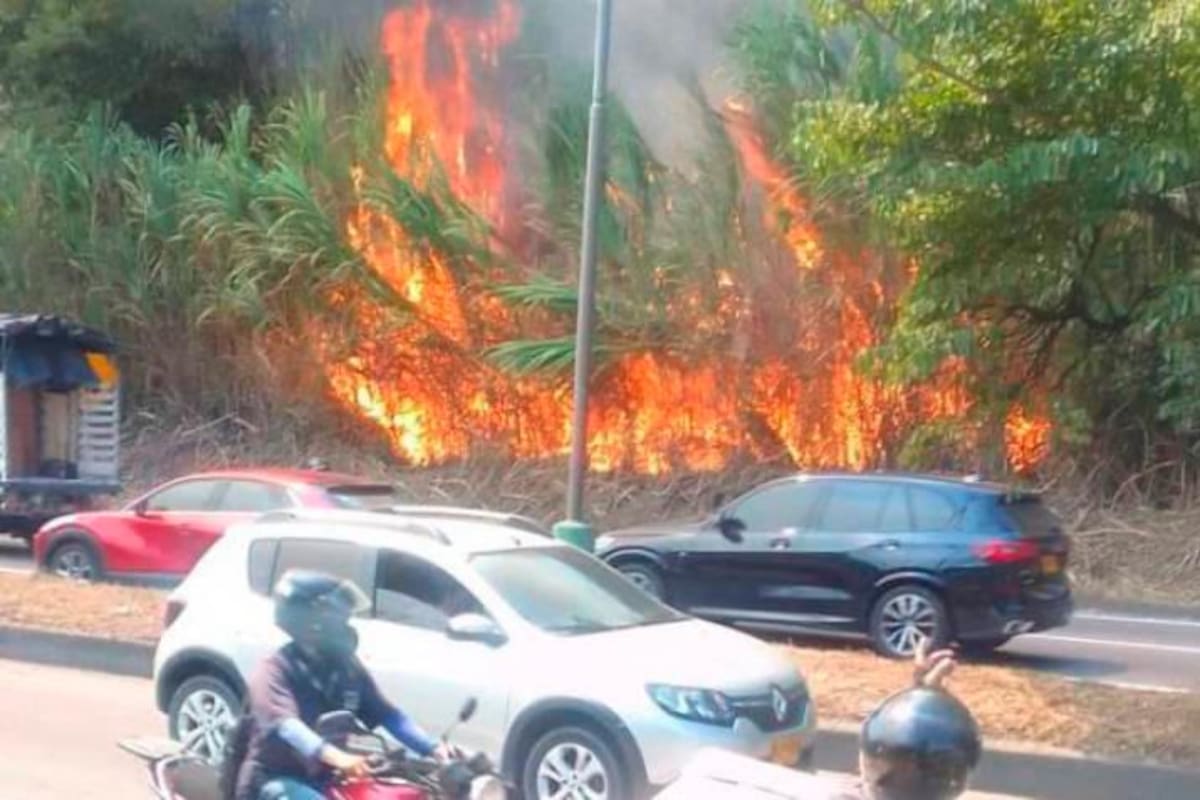 Incendio forestal amenazó a tres barrios de Bucaramanga
