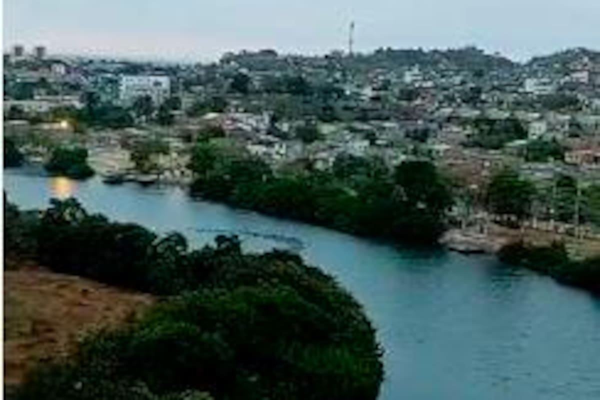 Patos y delfines se toman los cuerpos de agua de Cartagena