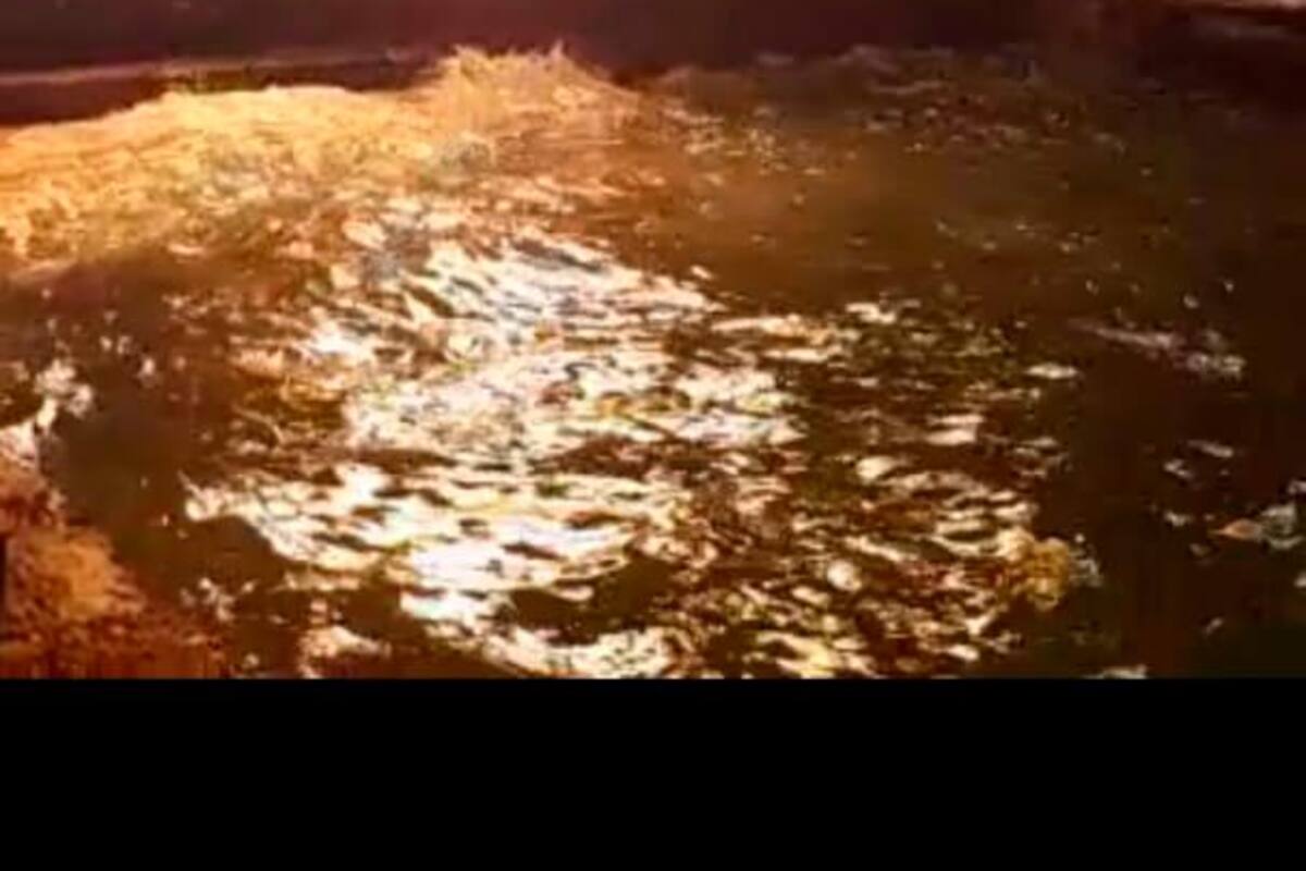 Video: Incendio en cabaña en Islas del Rosario
