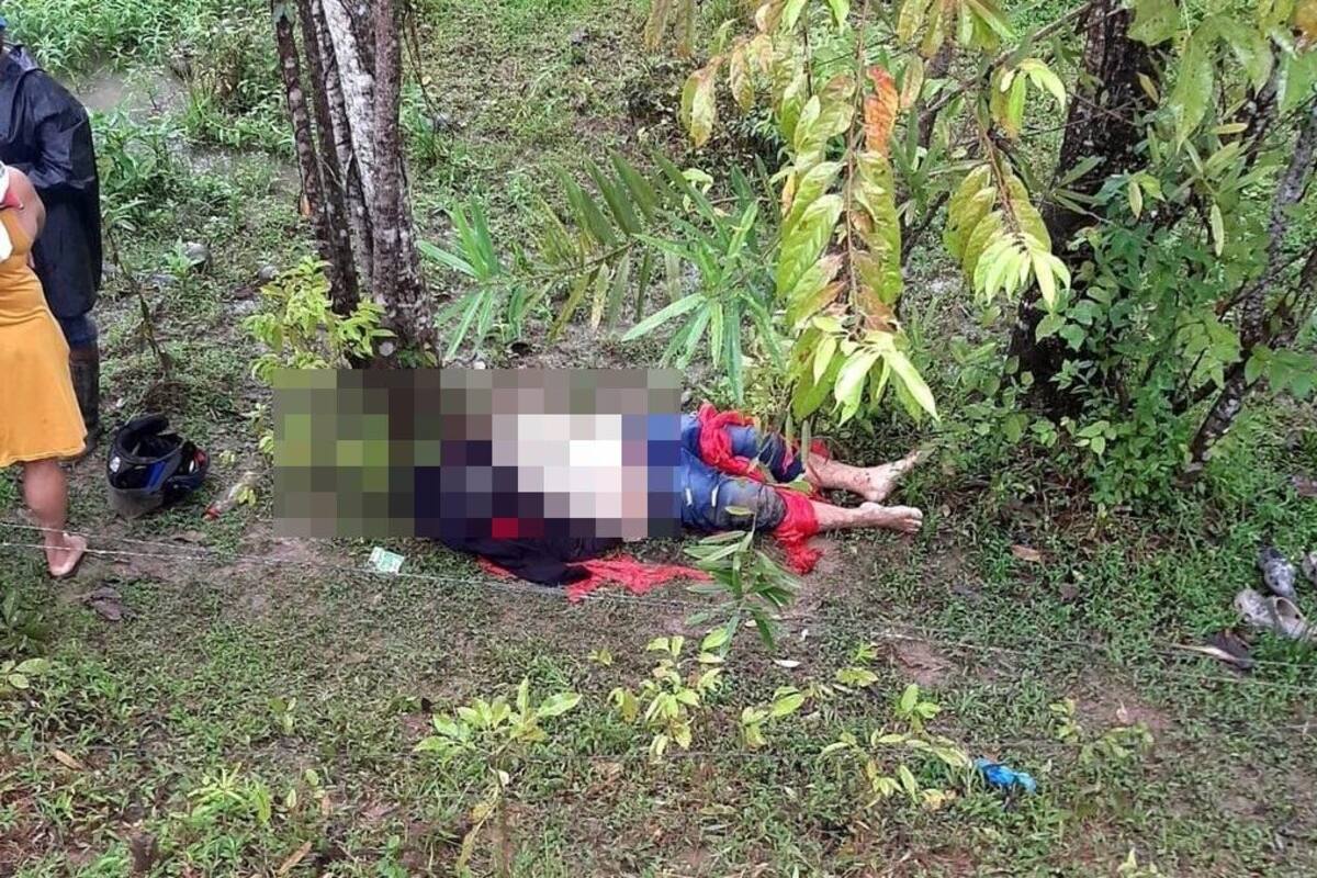 Docente murió al estrellarse en moto contra árbol; su hermano está herido