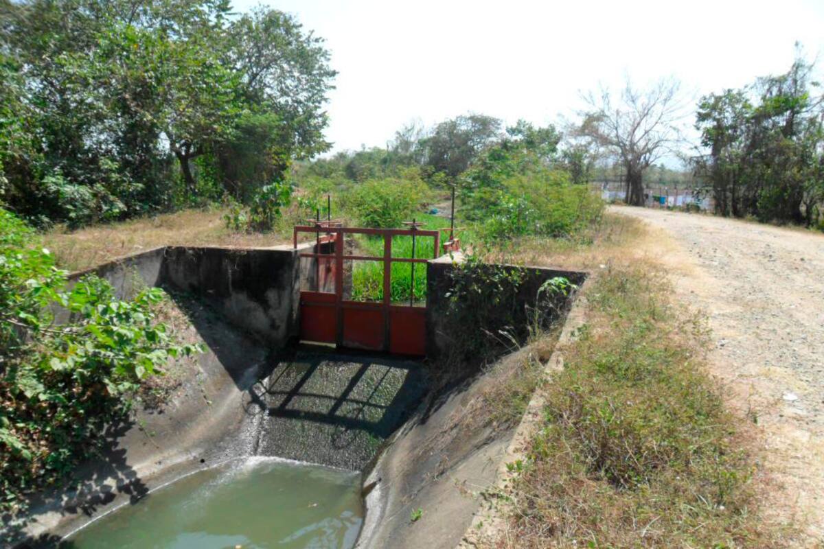 No hay agua para cultivos de arroz en Marialabaja