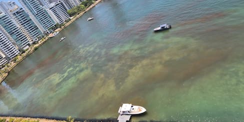 Autoridades revelan la causa de la extraña mancha en la bahía de Castillogrande