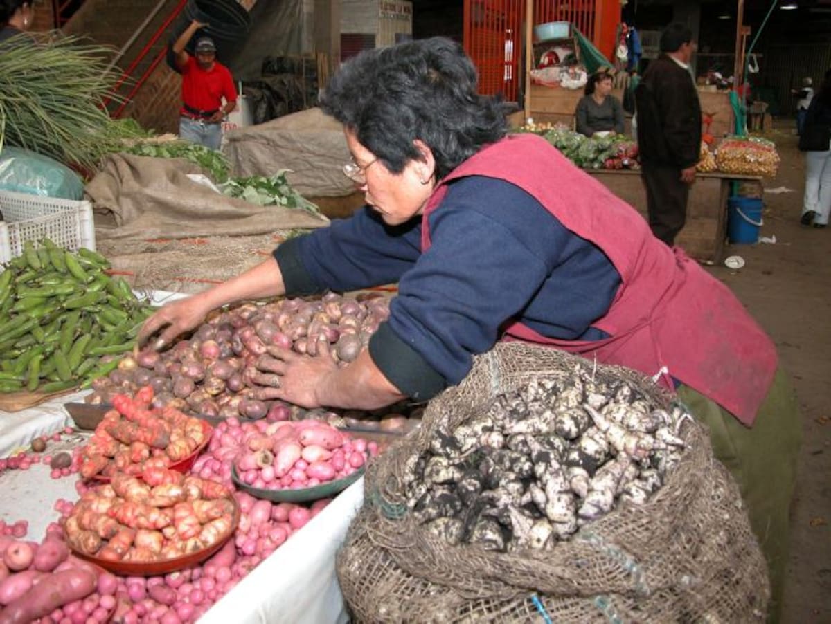 Según el informe hubo buena oferta de papa, cebolla, zanahoria, arveja y papaya, entre otros productos. COLPRENSA