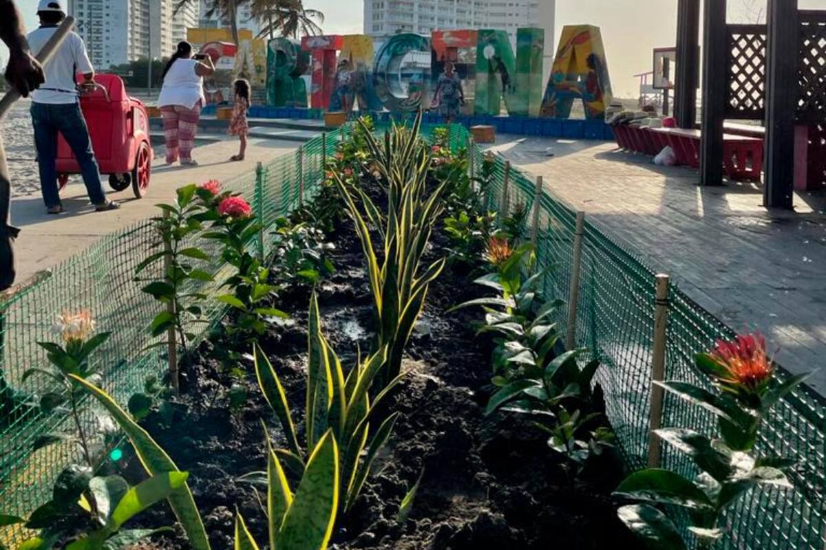 ‘Cartagena’: las letras como un espacio de zona verde