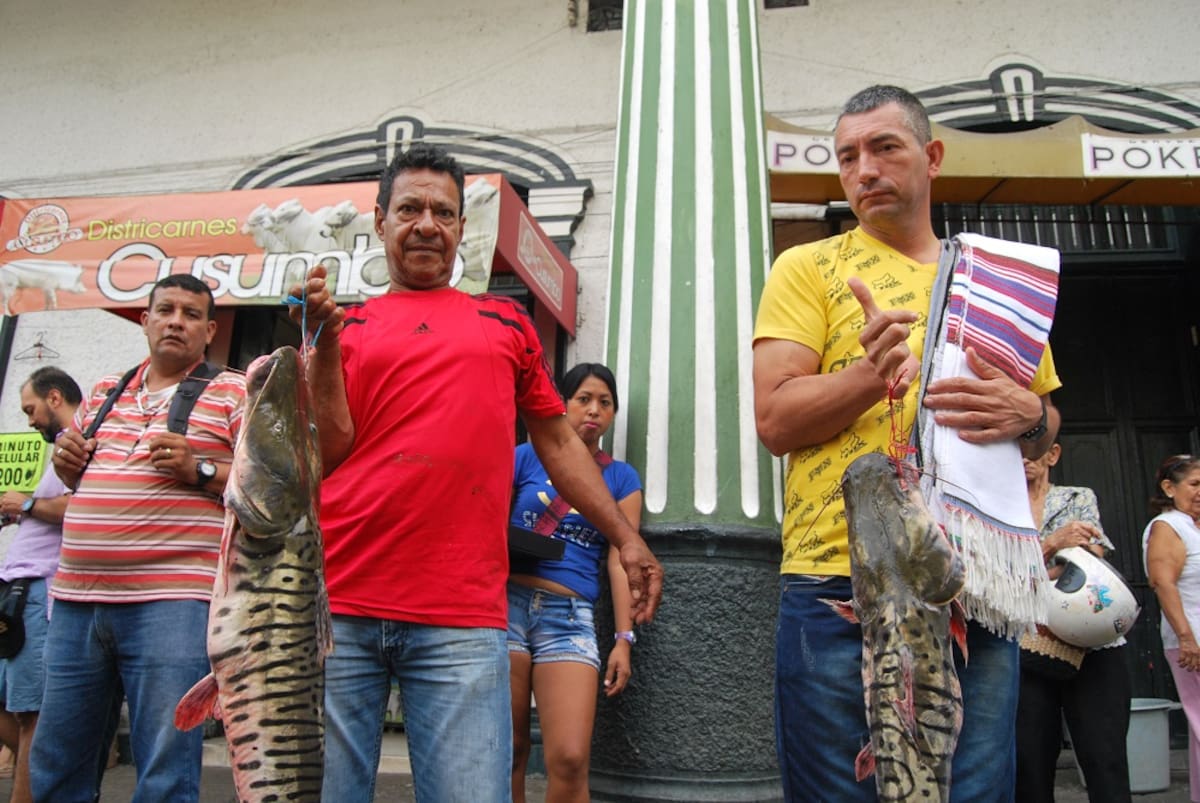 La pesca del día. Los pescadores muestran sus bagres en la plaza. El Universal