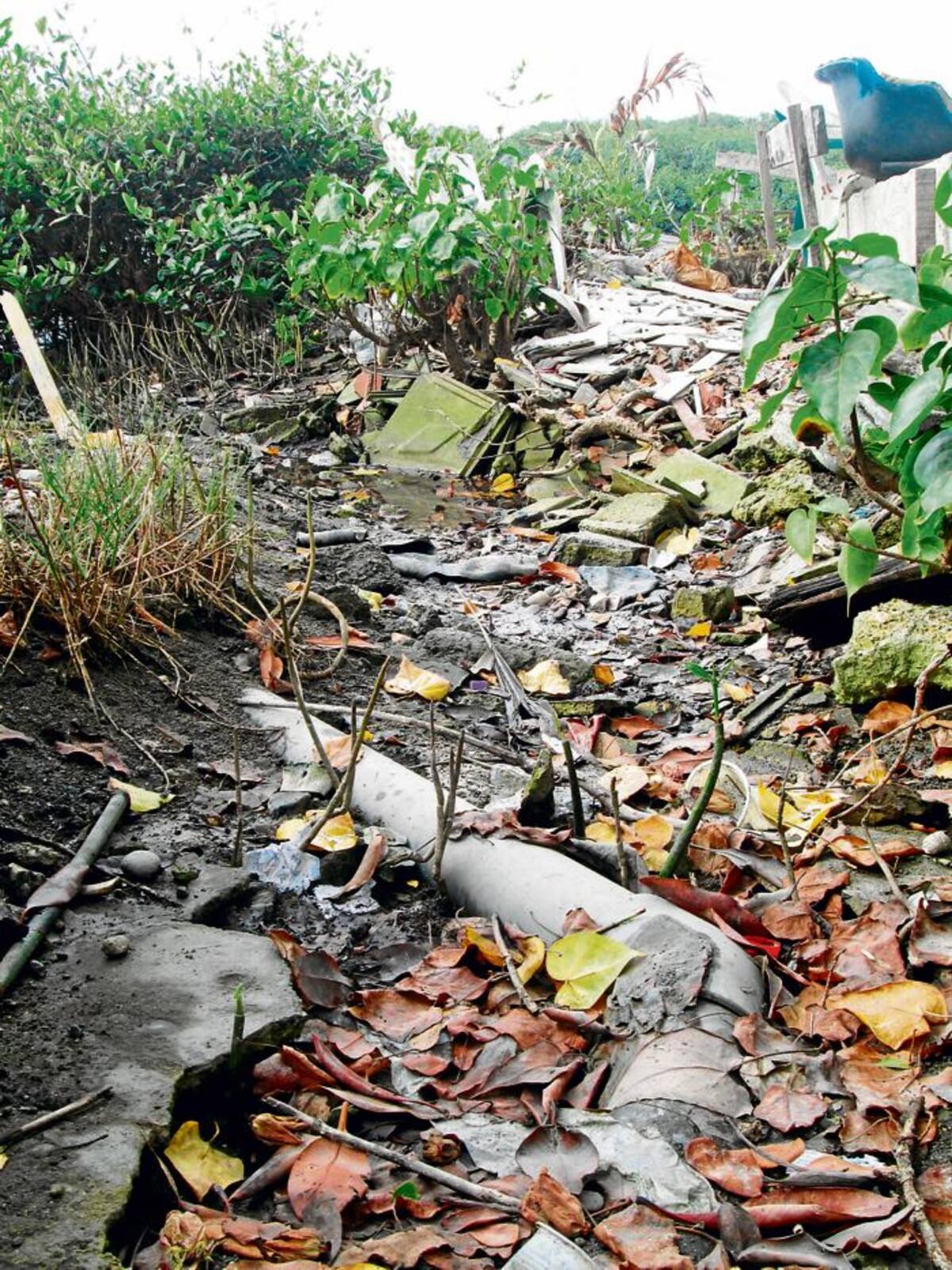 En el Cuarto, Tercero, Segundo y sobre todo en el Primer Callejón de Manga hay históricos problemas sanitarios y de contaminación que se agravan considerablemente cuando caen aguaceros. PEDRO TORRES, GENTE BAHÍA - EL UNIVERSAL