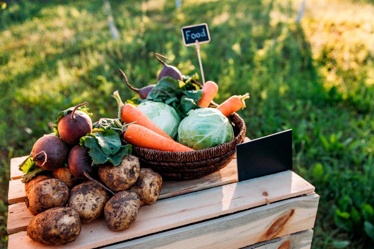 La alimentación es clave para preservar los recursos de la Tierra