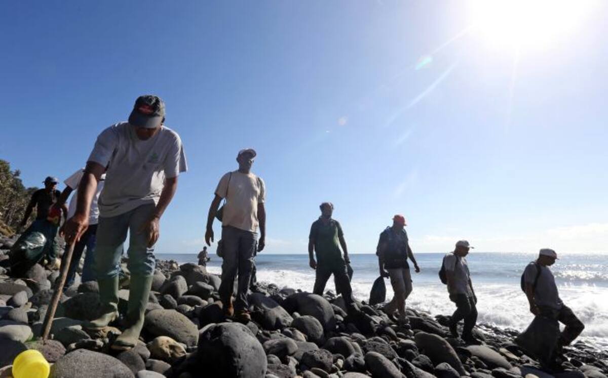 La búsqueda en la zona de Saint-André, en esta isla francesa situada en el océano Índico, está a cargo de las asociaciones responsables de la protección del medio ambiente y de la limpieza del litoral. AFP RICHARD BOUHET