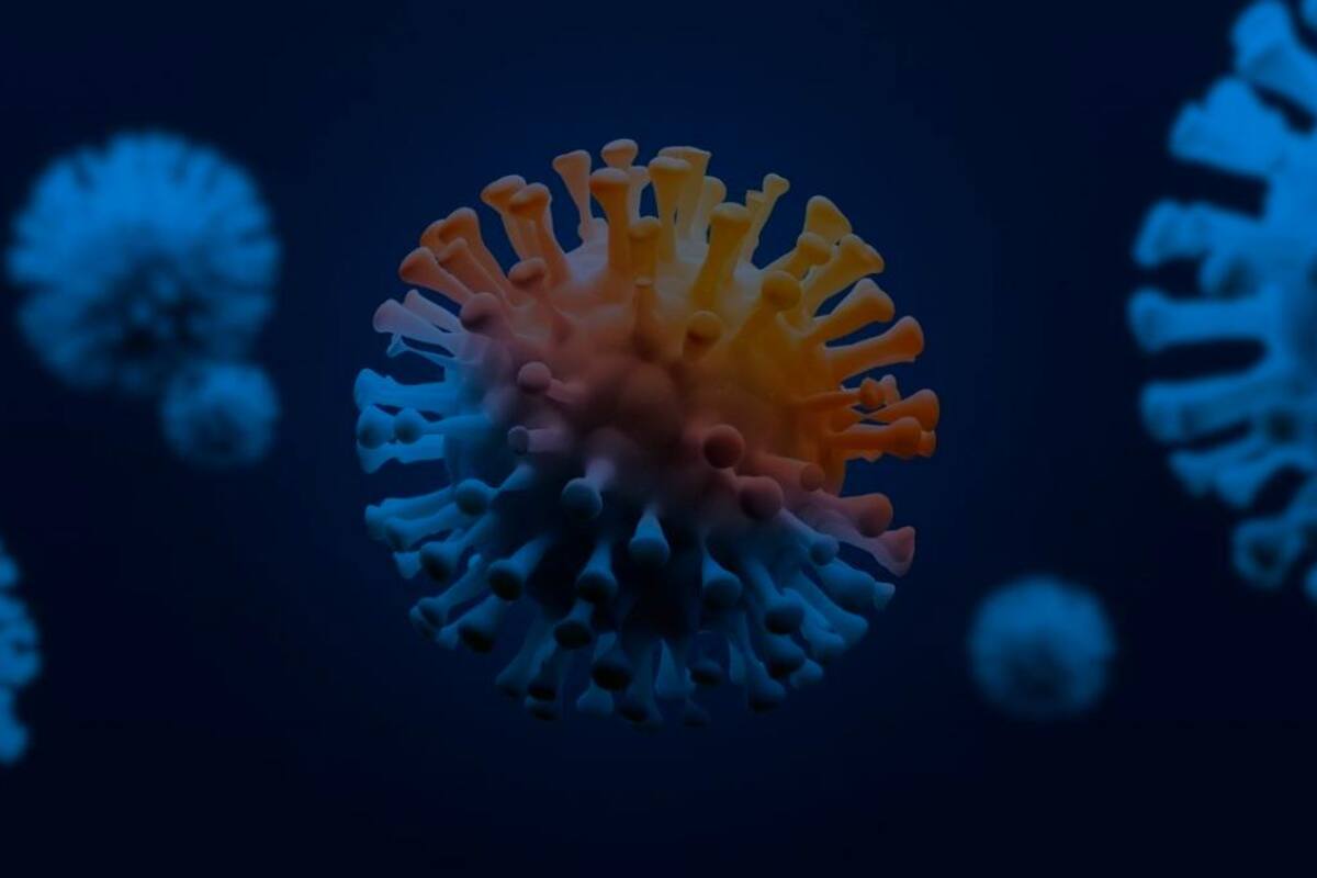 ¿Qué es el virus del Nipah y por qué tiene en alerta a todo el mundo?