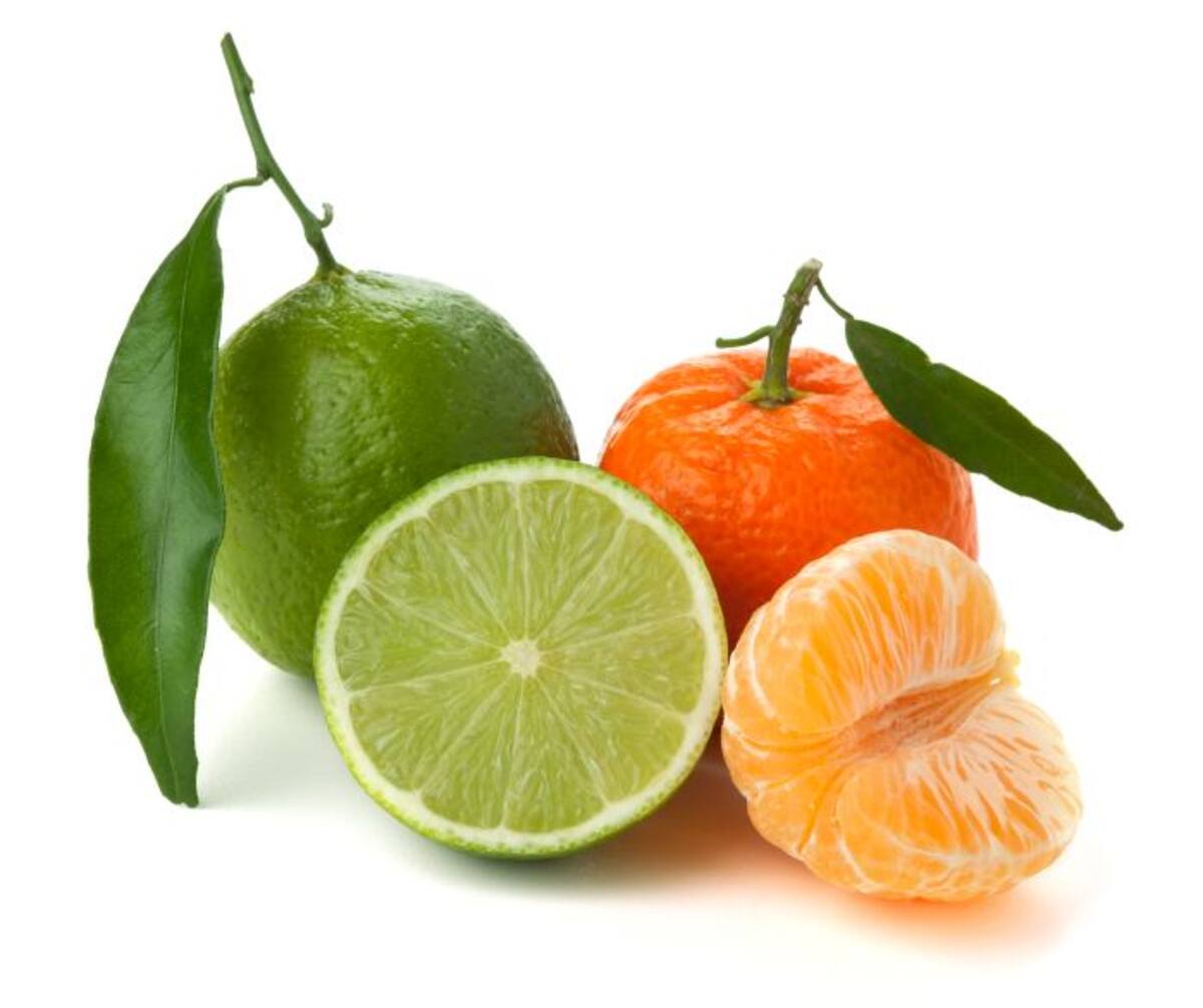 El limón y la mandarina, por ser cítricos, protegen el sistema inmune.