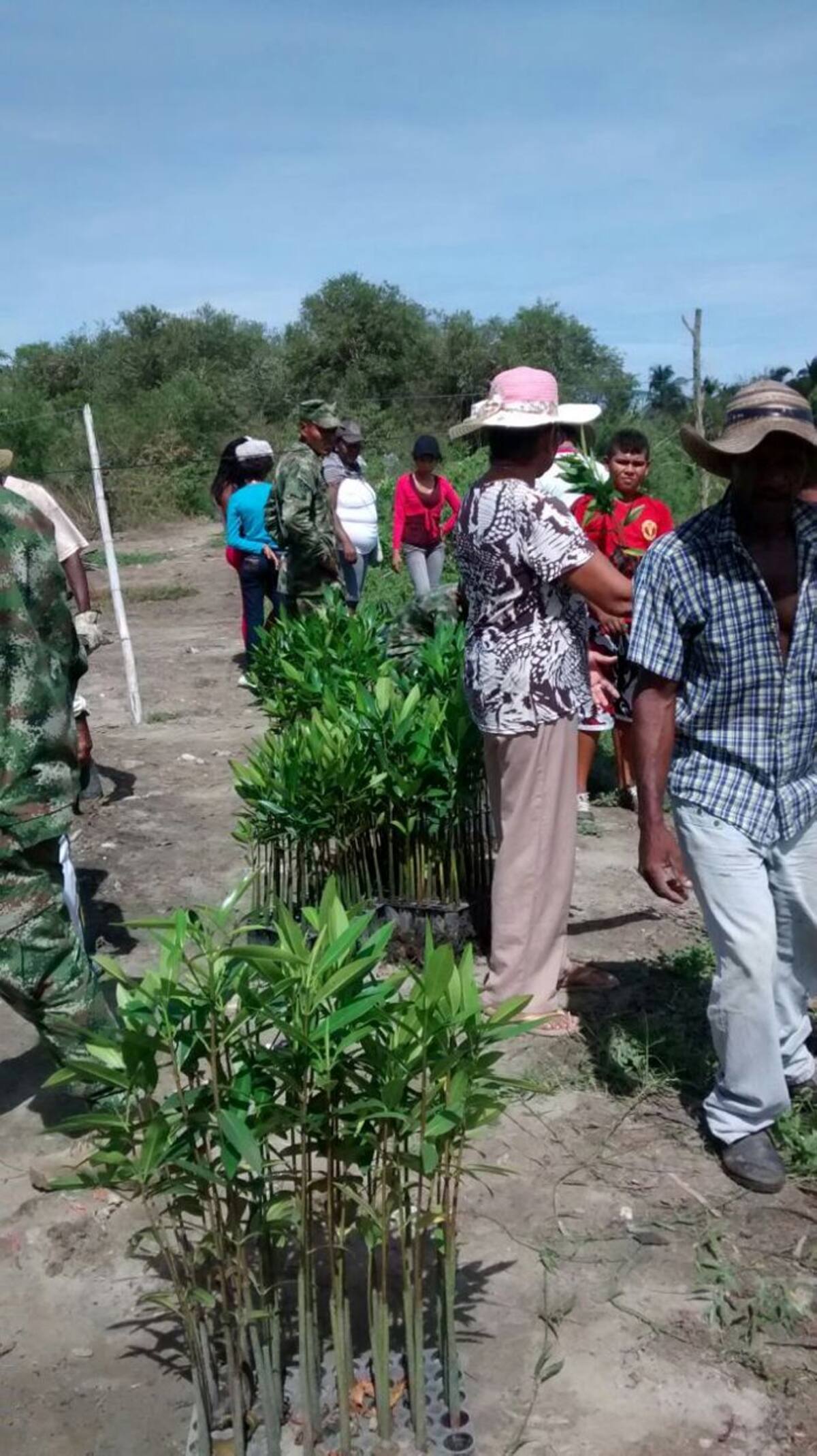 Las comunidades del Golfo, con diferentes organizaciones, participaron en el primer Festival del Manglar. Cortesía
