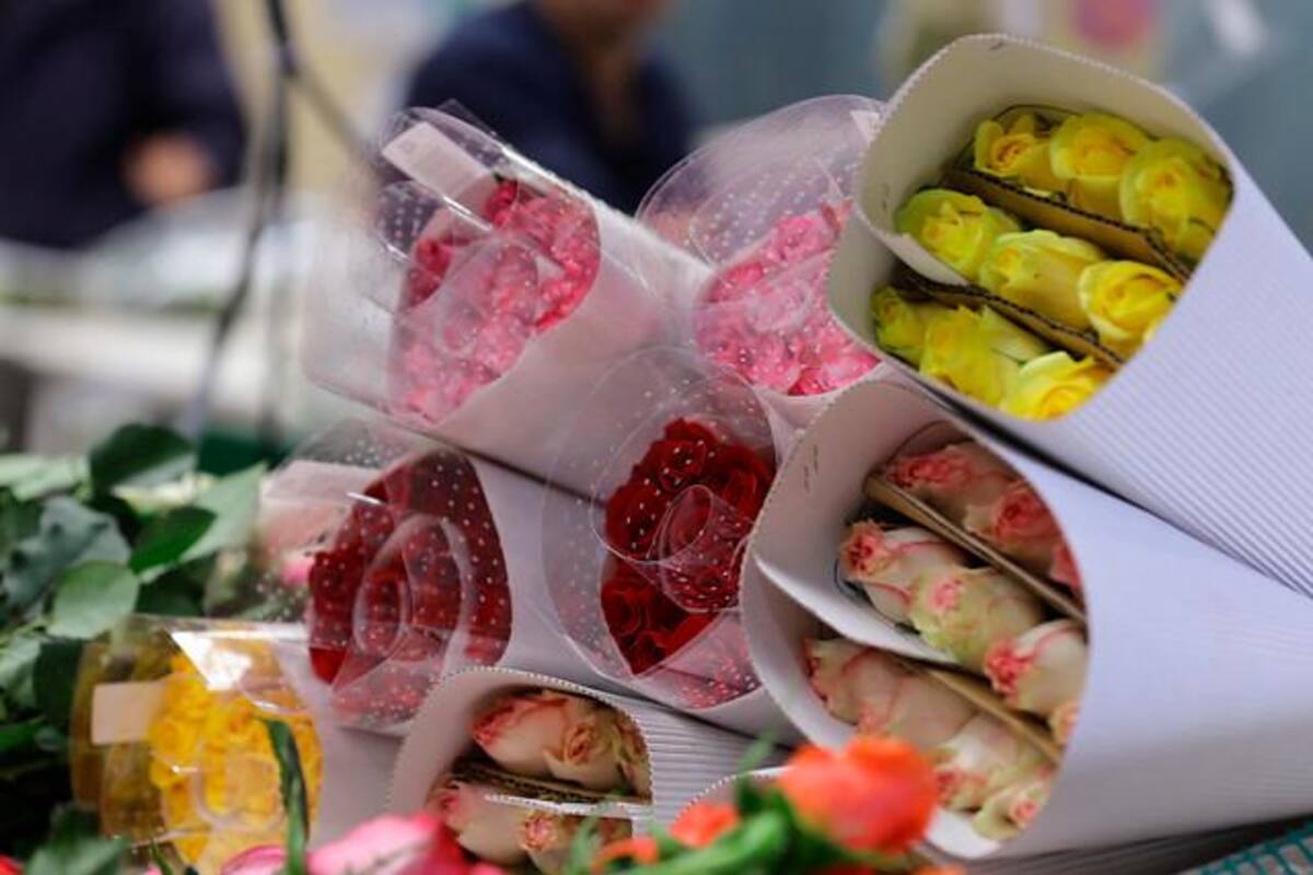 San Valentín genera unos $765.000 millones para los floricultores