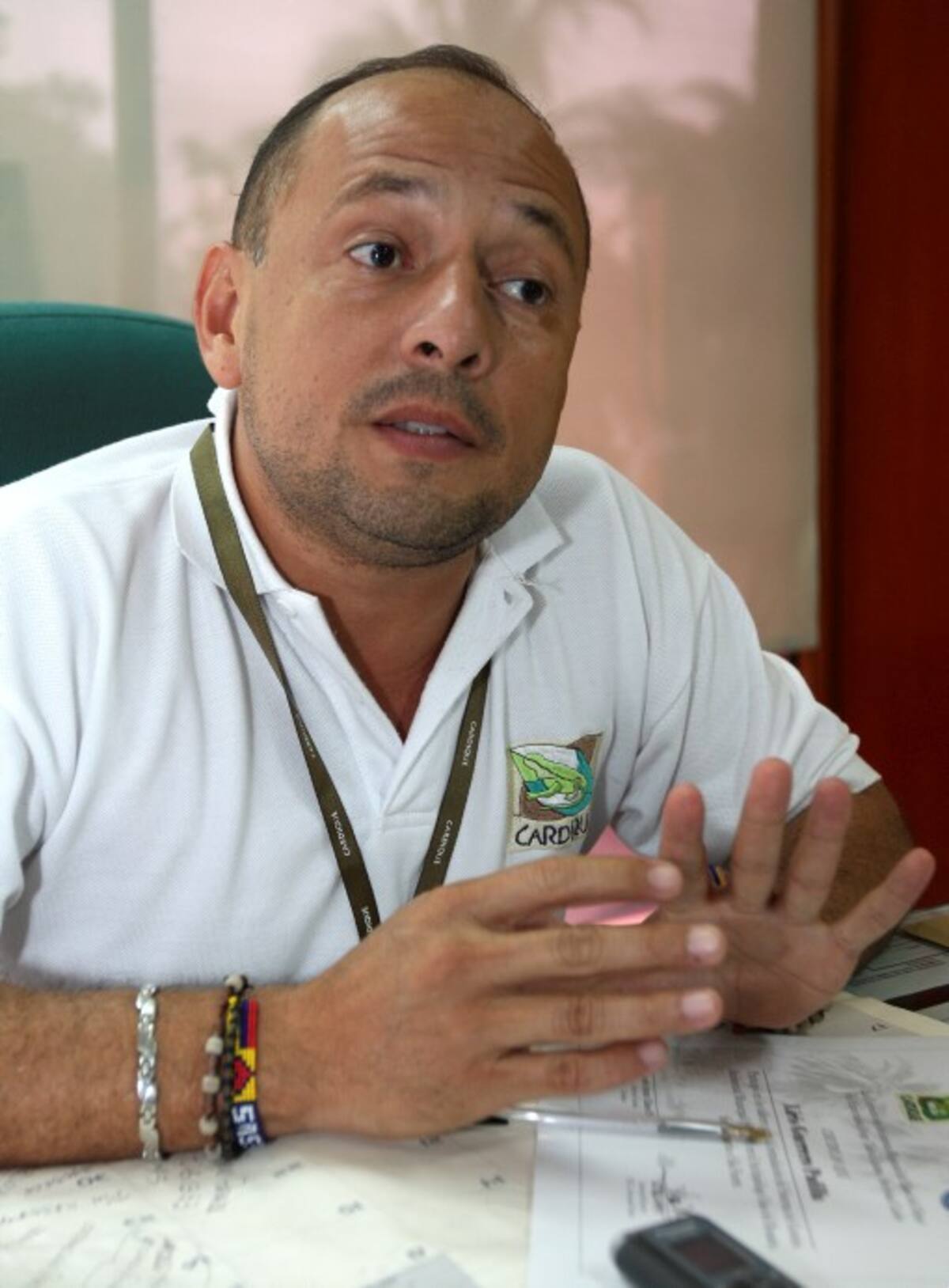 Agustín Chávez, director de Cardique