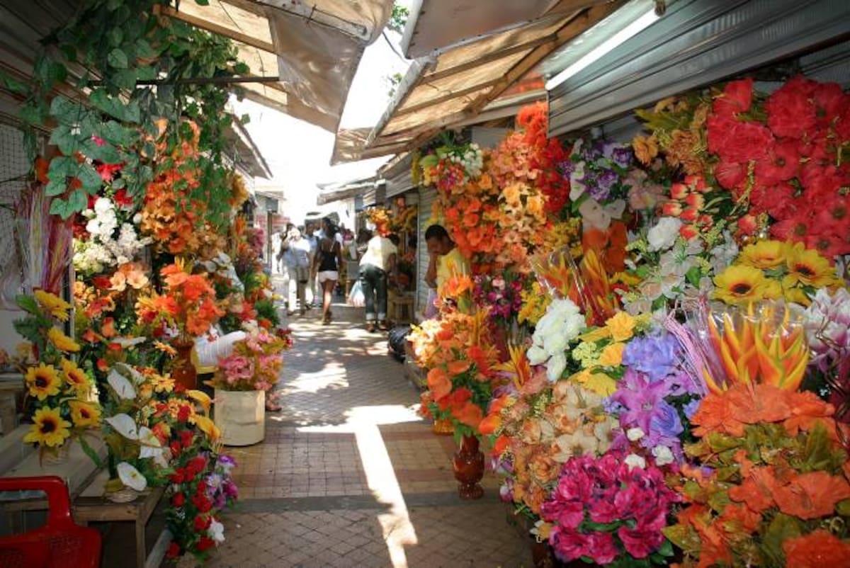Parque de las flores Cartagena Luis aparicio/El universal