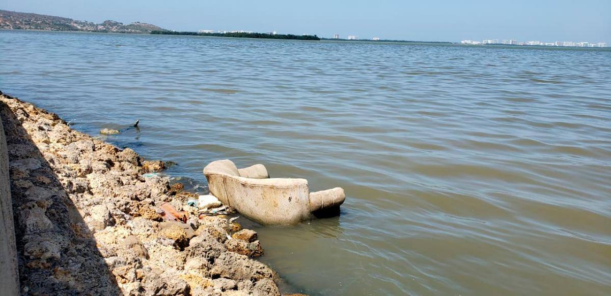 Aspectos de la fuerte contaminación que ya empieza a crecer en la ciénaga de la Virgen.//Fotos cortesía M. Berrío.