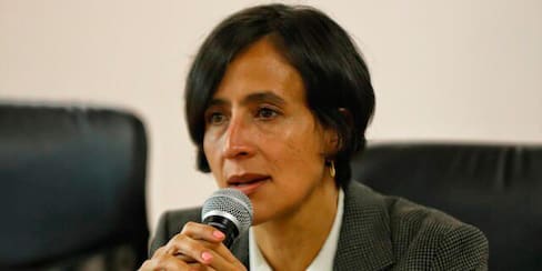 Minambiente vincula la deforestación a los cultivos ilícitos